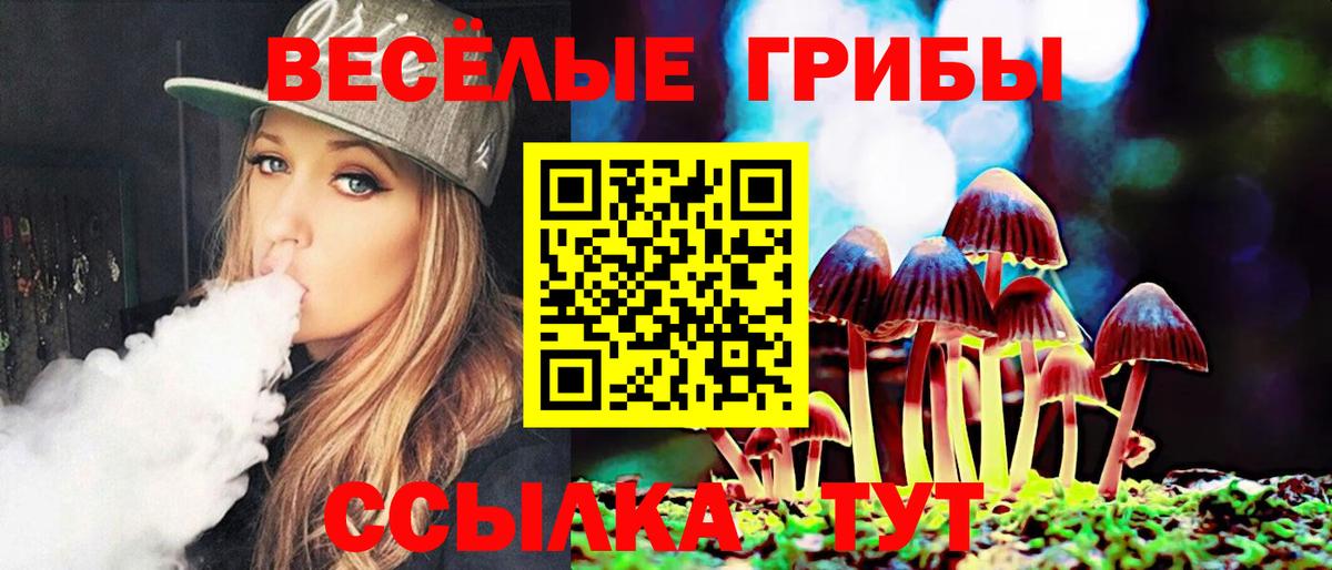 Галлюциногенные грибы Psilocybe Краснокаменск